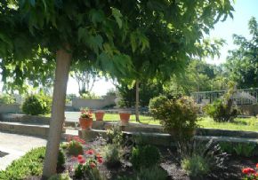 Photo Maison De Retraite - Un Hameau Pour La Retraite, maison de retraite Publique, Ehpad à Eyragues 13