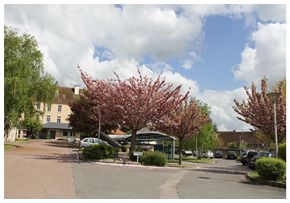 Photo Centre De Long Sejour De St Pierre Le Moutier, maison de retraite Publique, Usld, Ehpad à St Pierre Le Moutier 58