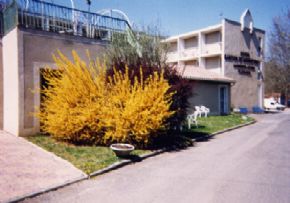 Photo Ehpad Plaisance - Ehpad Le Domaine, maison de retraite Publique, Ehpad à Monesties 81