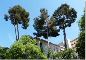 Photo Maison De Retraite La Salette Montval, maison de retraite priv&eacute;e associative, Ehpad à Marseille 09
